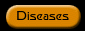 Diseases - Medical Database 